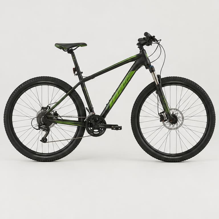 Mountain bike (L frame)